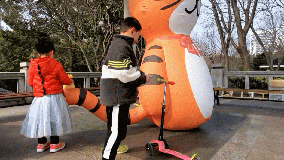 小老虎
